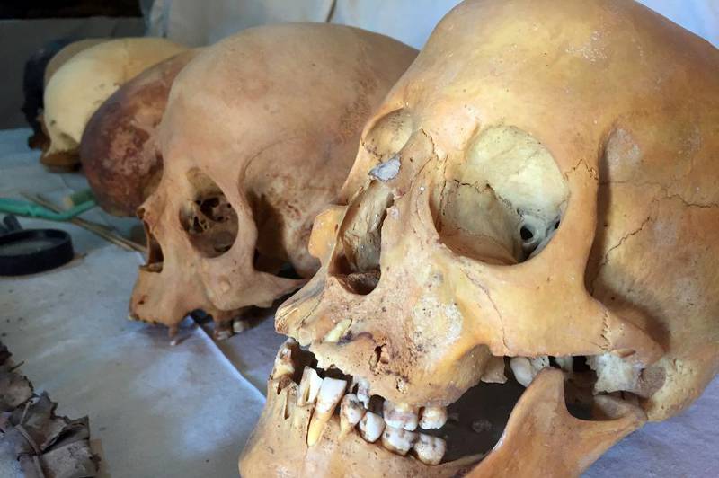 Bildet viser hodeskaller som ble funnet i graven.