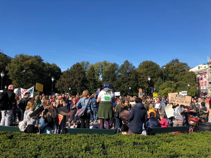Bildet viser en stor folkemengde foran Stortinget. Mange hadde møtt opp fredag for å demonstrere for klimaet. 