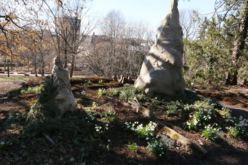 Bildet viser en busk med dekke. Foran blomstrer hvite Klosterklokker.