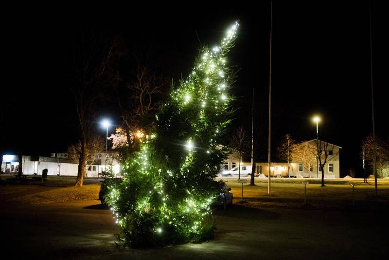 Bildet viser et skeivt juletre med lys. Det står på Karlshus i Råde i Østfold. 