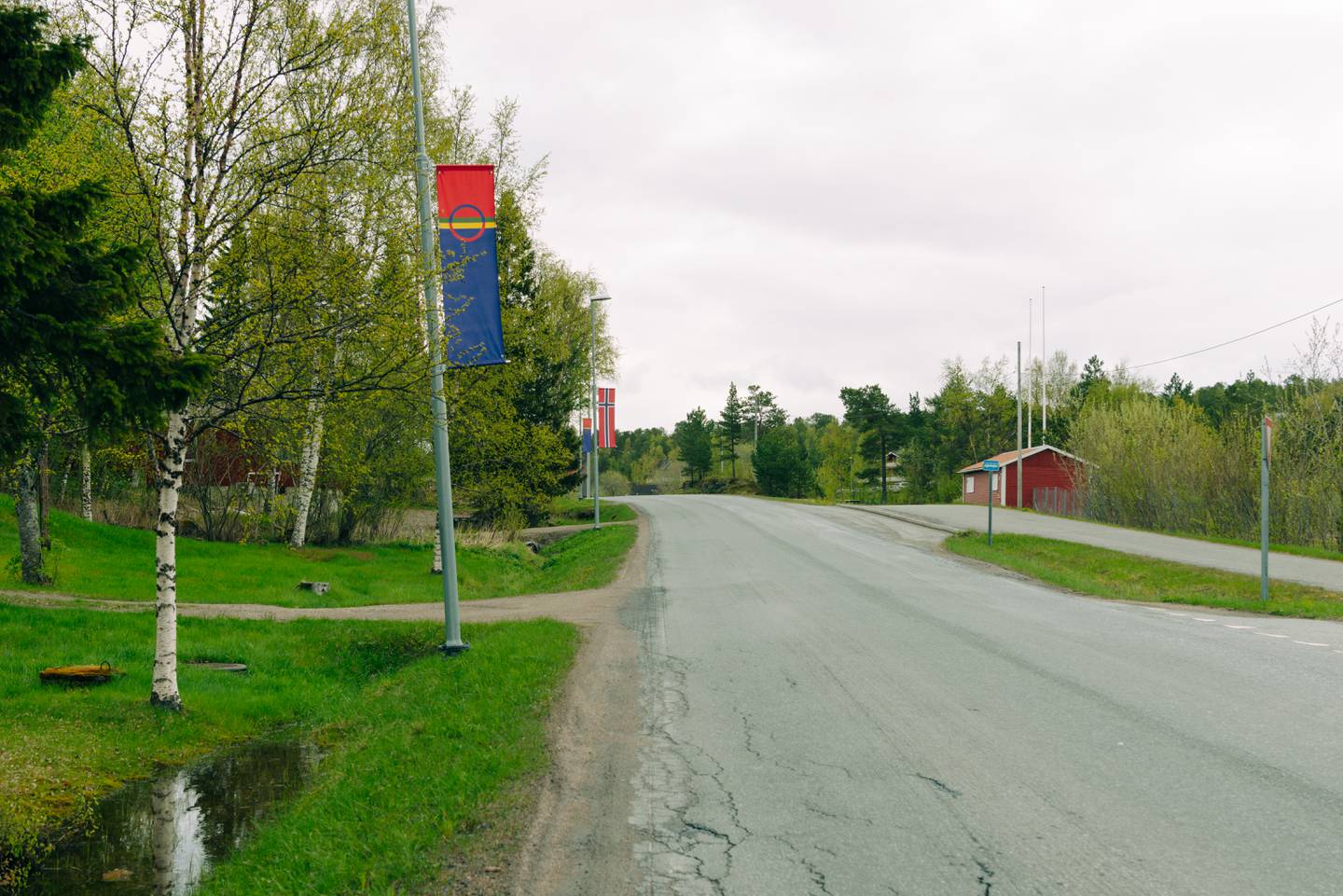 Bildet viser samiske og norske flagg på lyktestolper i Hamarøy kommune.