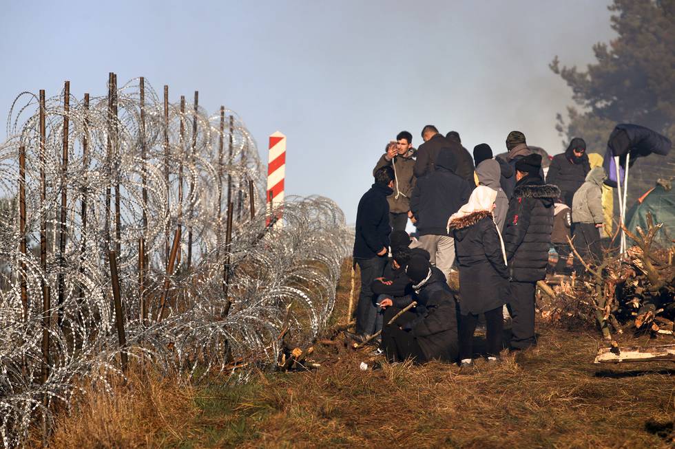 Migranter samles ved piggtrådgjerdet på grensen mellom Hviterussland og Polen. Flere hundre mennesker forsøkte å storme grensen mandag ved å kutte piggtråden og klatre over ved å dekke den med greiner og kvister. Foto: Leonid Shcheglov/BelTA via AP/NTB

