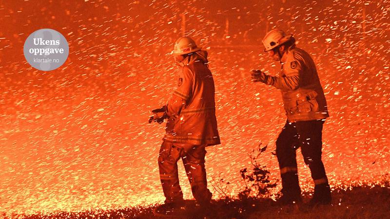 Bildet viser brannfolk i Australia som jobber med å slukke skogbrann.