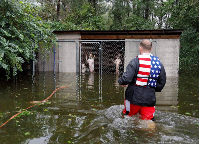 Bildet viser hunder innestengt i et bur som oversvømmes.