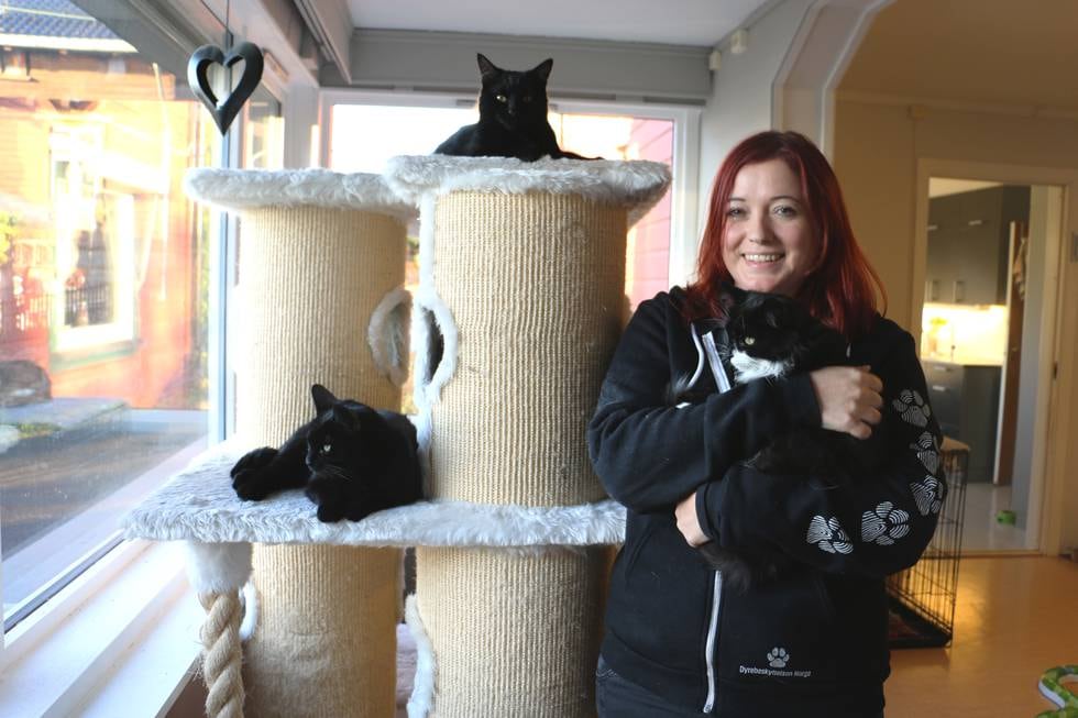 Bildet viser mentor Anette sammen med kattene hos Dyrebeskyttelsen.
