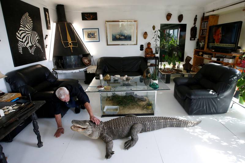 Bildet viser Philippe Gillet med en alligator.