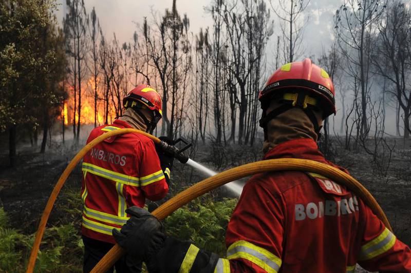 Bildet viser ryggene til to brannfolk. De bærer slanger. I bakgrunnen er det store flammer og skog.