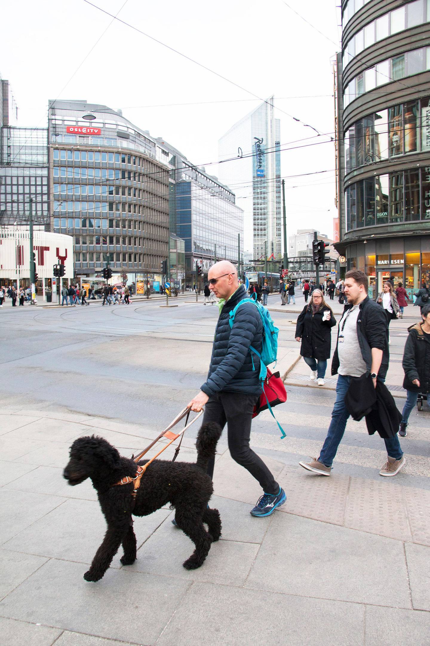 Bildet viser Håkon som går ved Jernbanetorget i Oslo sentrum. Kongepuddelen Rames leder ham trygt igjennom Oslo sentrum. Der er det mange hindringer. Hunden gjør at Håkon kommer seg raskere fram. 