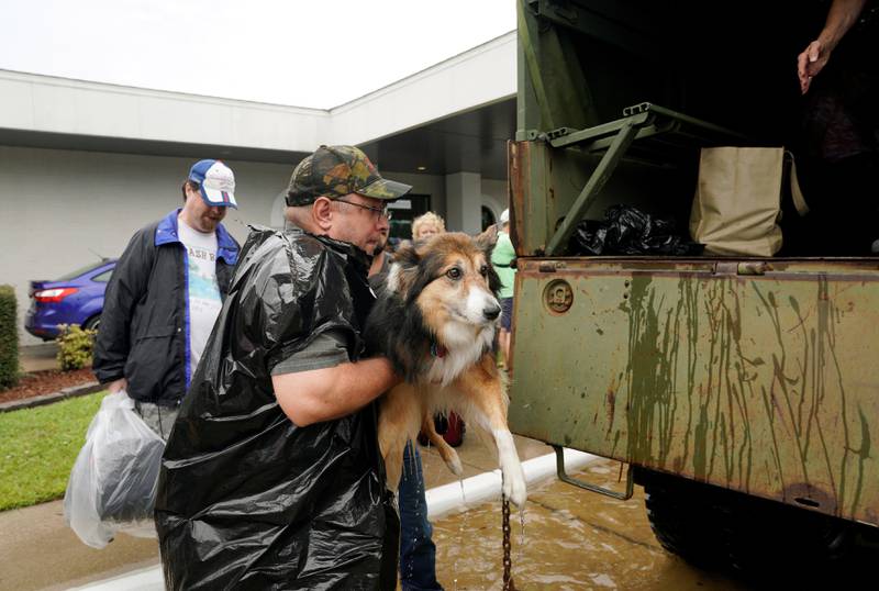 Bildet viser en hund som blir løftet opp i en militær lastebil.