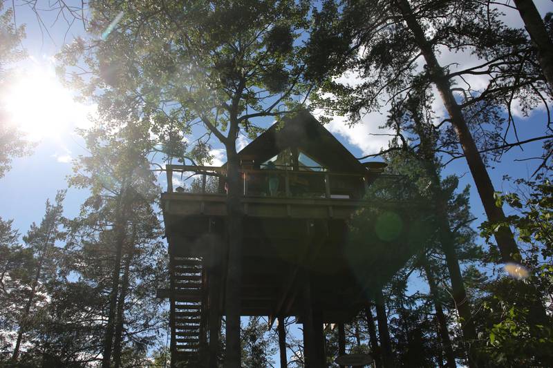 Bildet viser en hytte oppe i trærne.