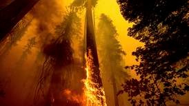 Store ødeleggelser fra branner i California