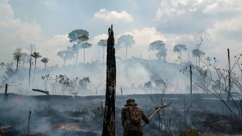 Bildet viser en mann i brannherjede Amazonas.