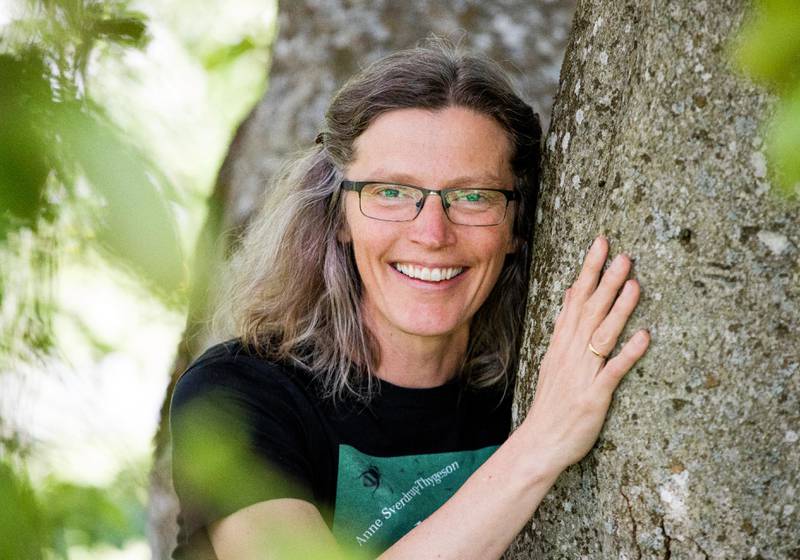 Anne Sverdrup-ThygesonProfessorFakultet for miljøvitenskap og naturforvaltning