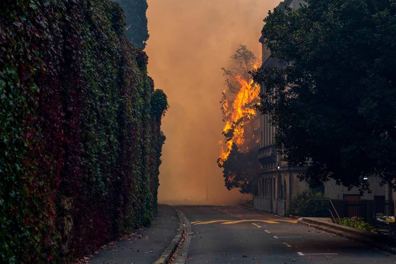 Bildet viser skogbrann i Cape Town