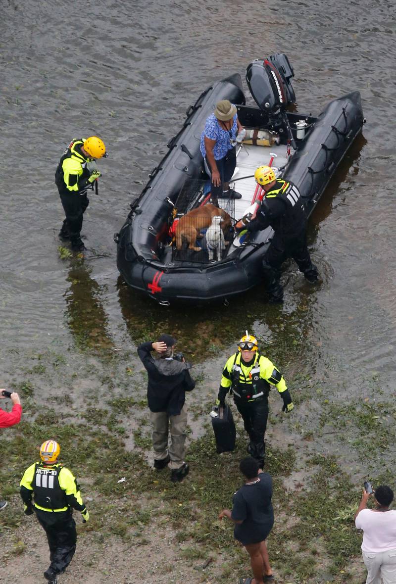Bildet viser en kvinne og hunder som blir reddet med båt av redningsfolk.