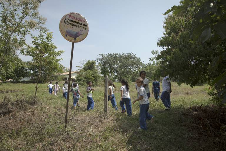 Bildet er av barn som går over en slette, omgitt av trær. Det er et skilt der det står en advarsel på spansk. Over bildet av en flodhest er det en tekst om at folk må passe seg for flodhester i området. Foto: Ivan Valencia / AP / NTB