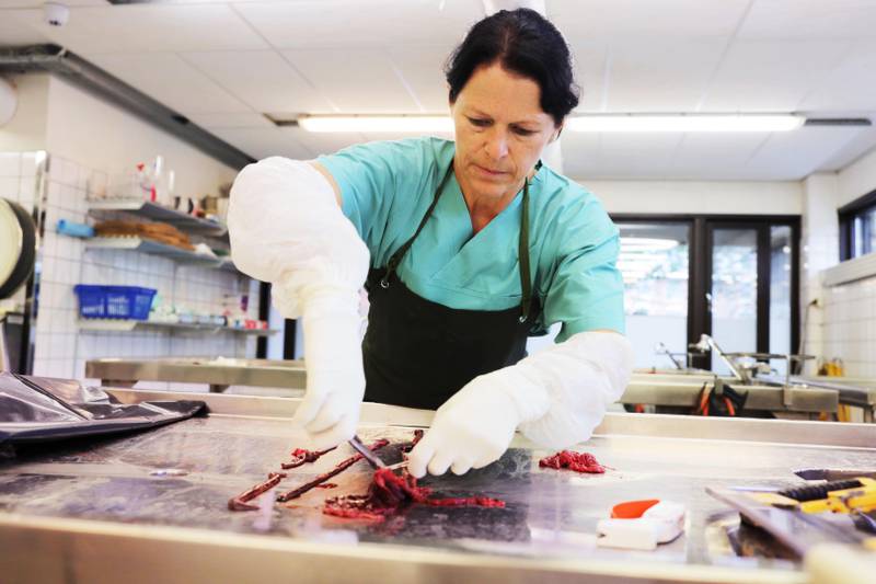 Bildet viser en patolog som jobber på et laboratorium.