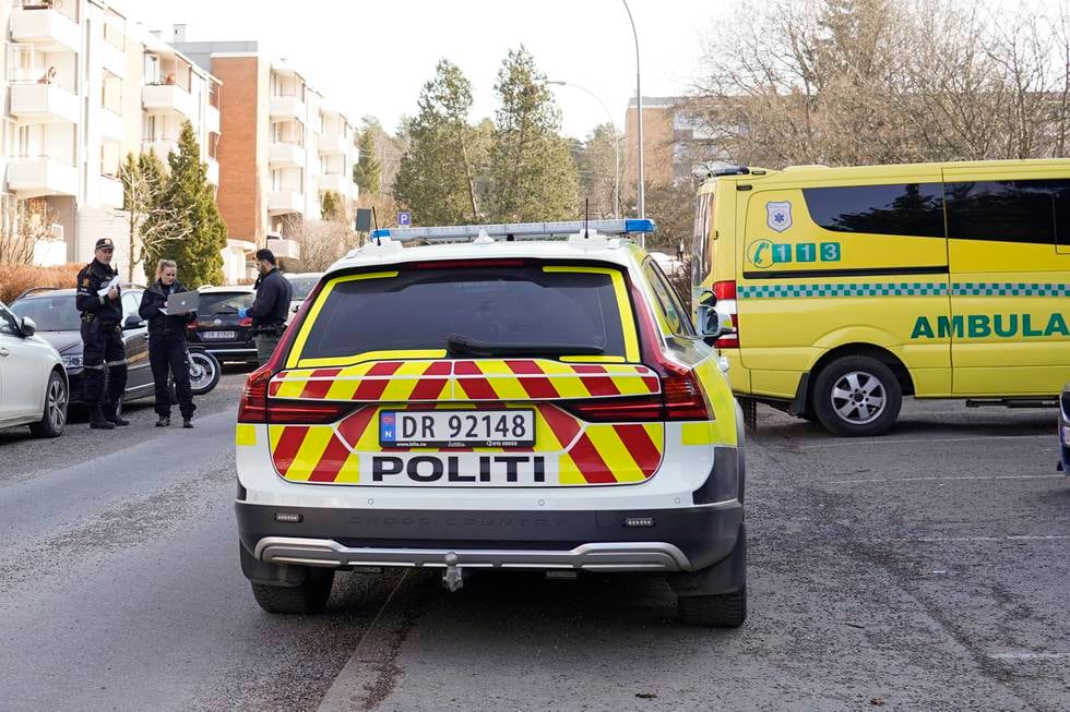 Bildet viser politifolk på Manglerud i Oslo mandag. Foto: Håkon Mosvold Larsen / NTB