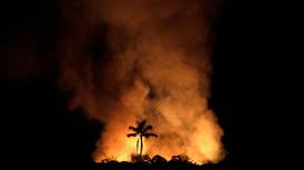 Flammene sluker verdens største regnskog
