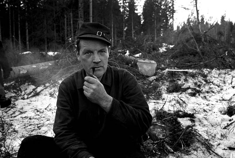 Bildet viser Hans Børli i skogen.