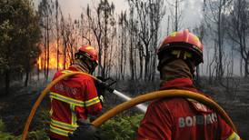Minst 62 døde i skogbrann
