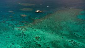 Nye og store skader på verdens største korallrev
