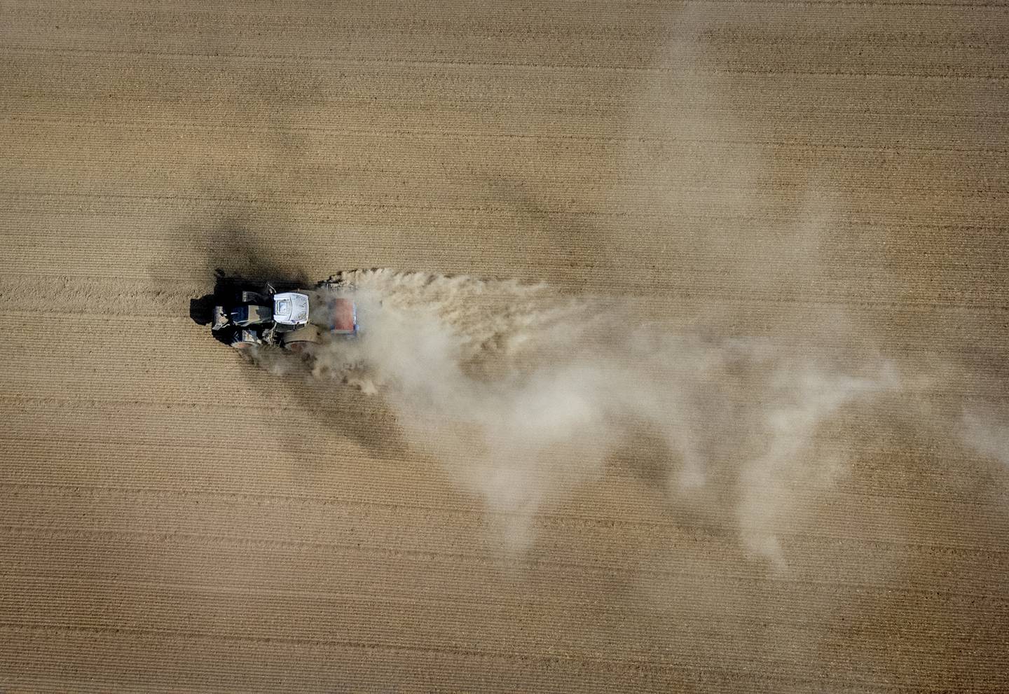 En traktor virvler opp støv på et jorde i nærheten av Frankfurt i Tyskland i forrige uke. Tørken i Europa i sommer er trolig den verste på 500 år. Foto: Michael Probst / AP / NTB