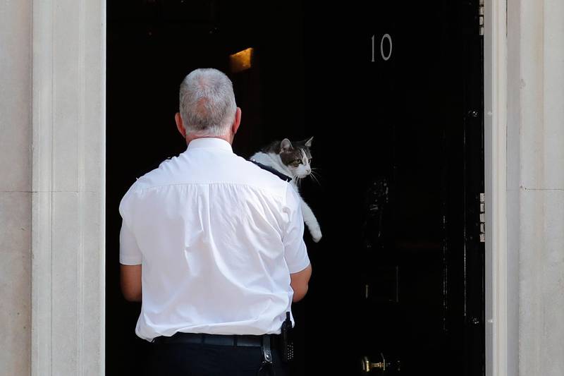 Bildet viser at katten Larry blir båret inn i statsministerboligen i Downing Street nummer 10.