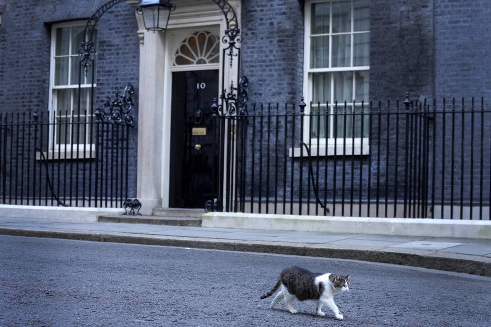 Bildet er av en katt som går utenfor statsministerboligen i Downing Street 10. Foto: Kirsty Wigglesworth / AP / NTB