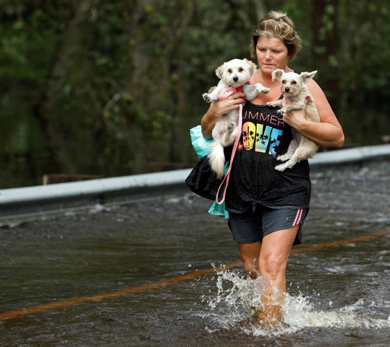 Bildet viser en kvinne som vasser i vannet mens hun bærer to hunder.
