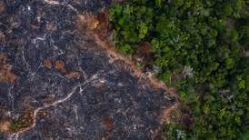 Aldri før har det blitt tatt mer skog fra Amazonas 