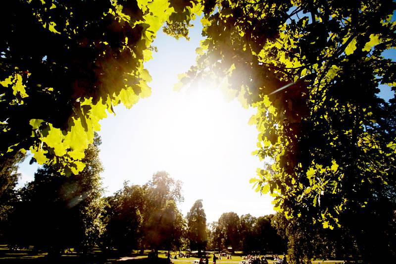 Bildet er av solskinn i Vigelandsparken i Oslo.