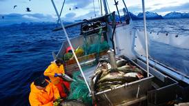 Rekord for norsk fiske i 2016