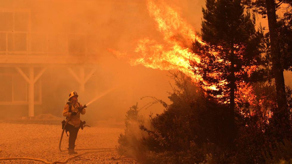 Bildet viser brannmann David Widaman som sprayer vann på et tre i brann.