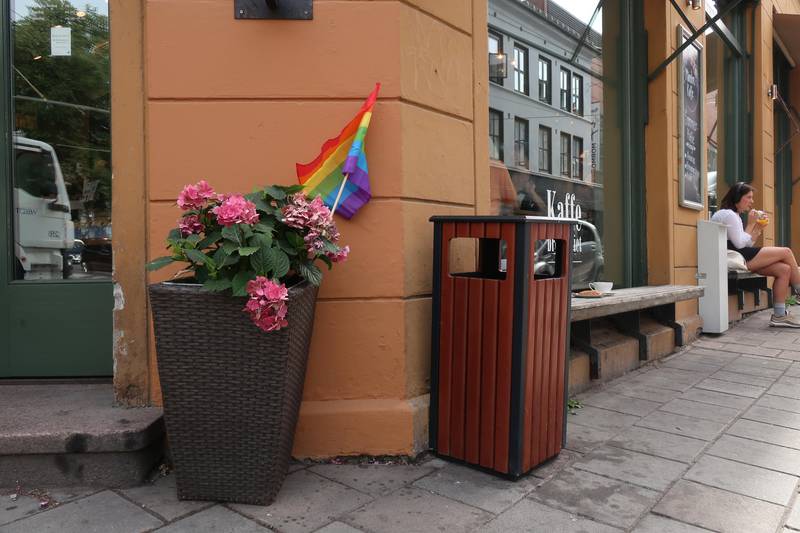 Små regnbueflagg i blomsterbed utenfor en kafé.