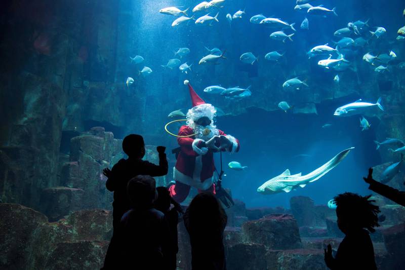 Bildet viser en mann i nissedrakt som svømmer under vann med fisker i et akvarie.