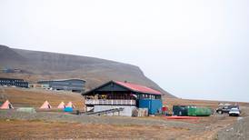 Mann drept av isbjørn på Svalbard