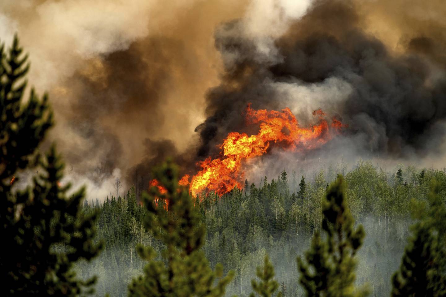 Flammene stiger fra tretoppene i Donnie Creek i provinsen British Columbia 2. juli. Årets brannsesong i Canada er den verste noensinne, ifølge det canadiske skogvesenet. Foto: Noah Berger / AP / NTB