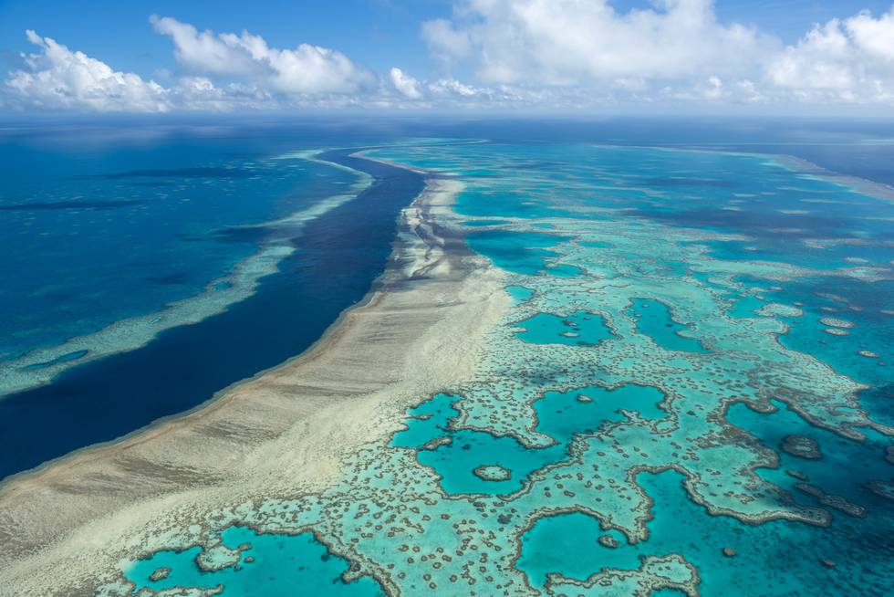 Bildet er av deler av Great Barrier Reef i Australa. Det er store områder med intens blå og grønne koraller. Men det er også områder som er helt grå. Foto: Jumbo Aerial Photography / AP / NTB