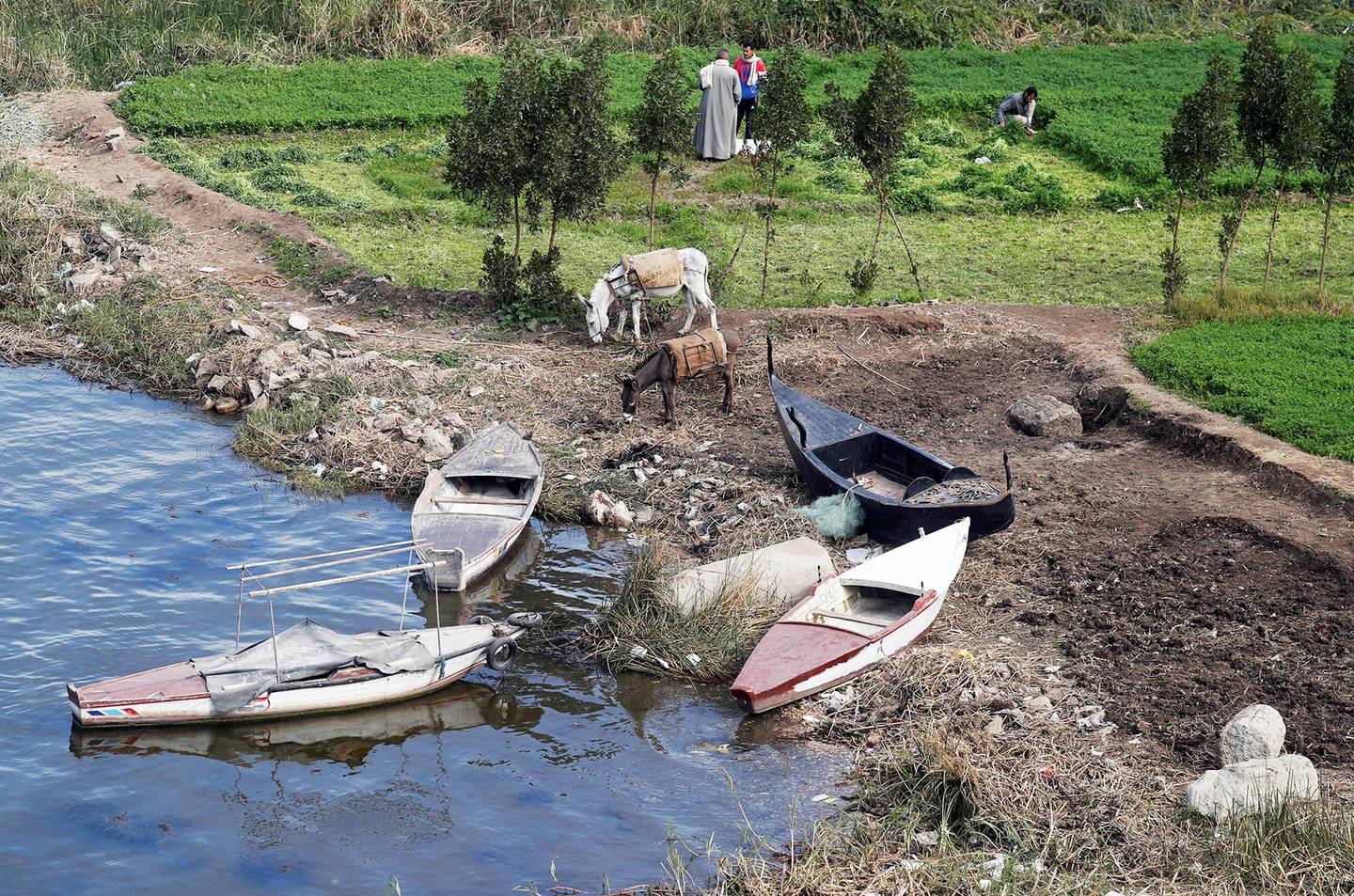 Bildet viser båter langs Nilen. To bønder og dyrene er på jordet ved elven.