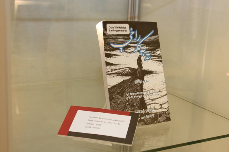 Bildet viser boka til Lina Lalporwal fra Afghanistan. Hun håper på å få diktsamlingen oversatt til norsk. 