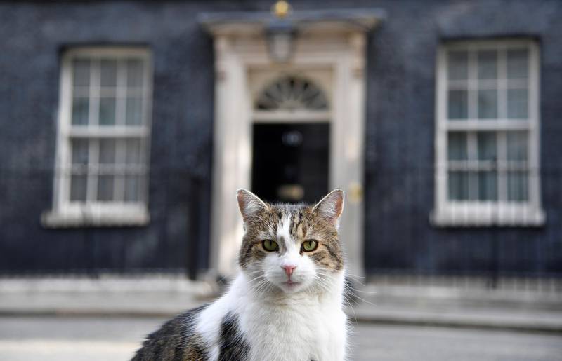 Bildet viser katten Larry utenfor statsministerens bolig i Storbritannia, Downing Street nummer 10.