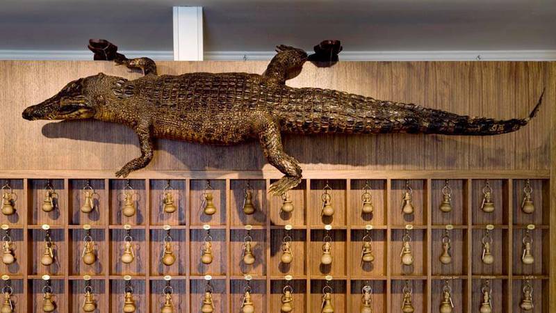 Bildet viser en utstoppet krokodille.