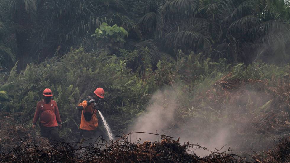 Bildet viser brannfolk i Indonesia som forsøker å slokke en brann i skogen.