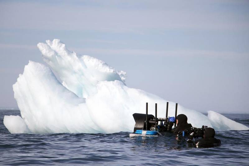 Bildet viser en mann som filmer i vannet på Svalbard i Norge.