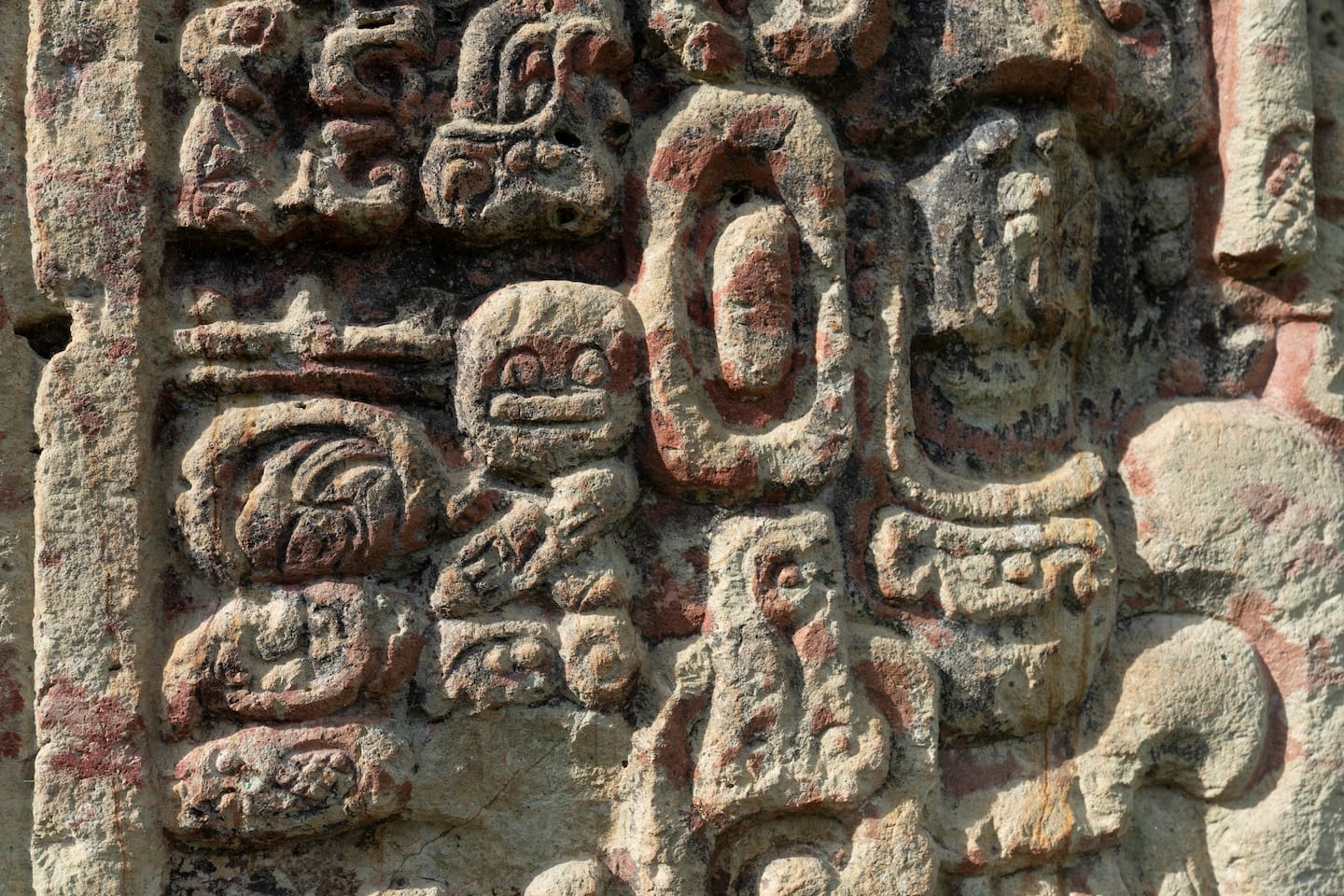 Detaljene på skulpturen Stela B i Copán i Honduras er imponerende godt bevart til tross for at det er over 1000 år siden de ble skrapt ut i gipsen. Foto: Moises Castillo / AP / NTB