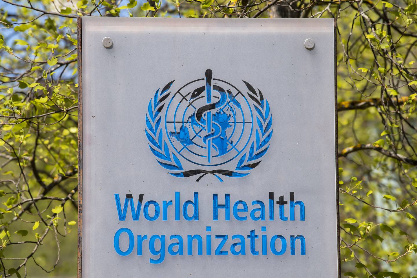 Mandag startet et ekstraordinært møte i Verdens helseorganisasjon for å diskutere internasjonal pandemihåndtering. Foto: Martial Trezzini / Keystone via AP / NTB