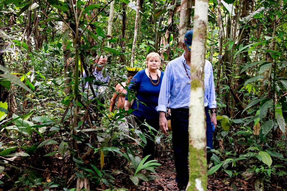 Bildet er av folk som går i regnskogen. En av de er Erna Solberg.