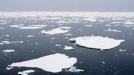 Forskere er skremt av plast i havisen