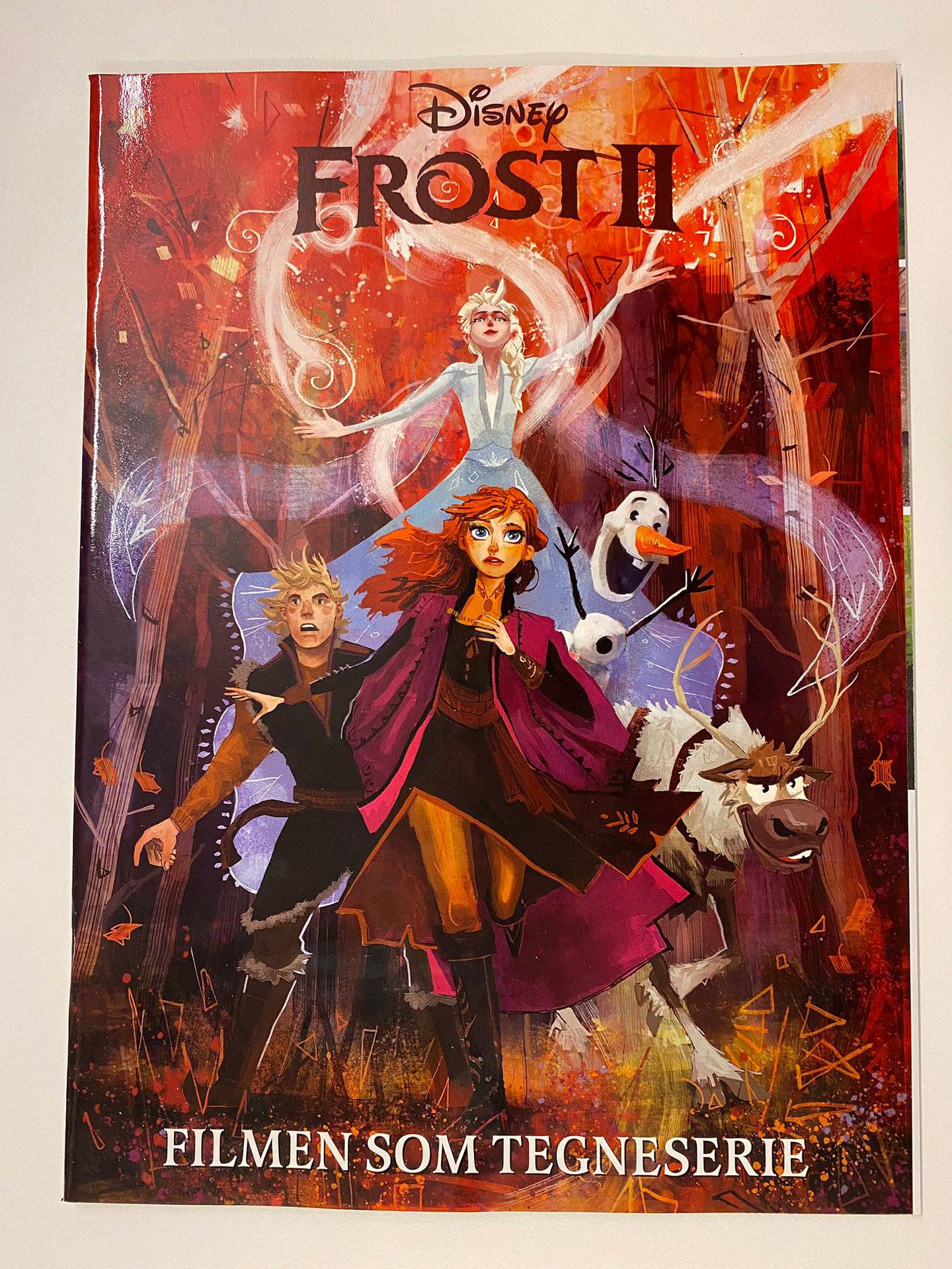 Bildet viser forsiden til heftet om Frost 2.